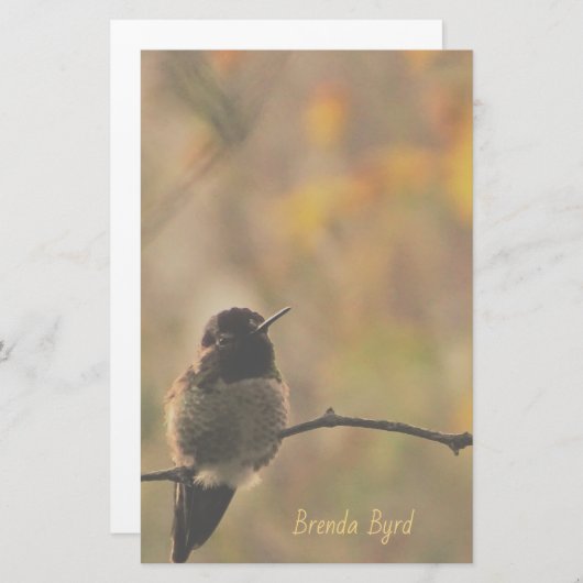 Hummingvogel auf dem Zweig warme gelbe grüne Farbe Briefpapier (Vorne/Hinten)