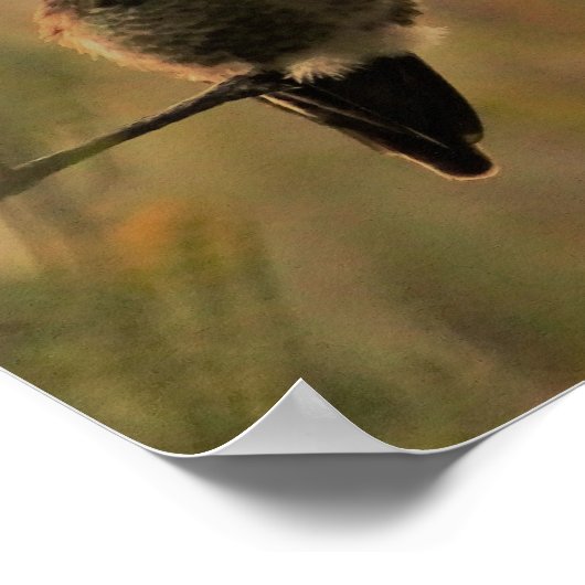 Hummingvogel auf dem Zweig warme gelbe grüne Farbe Poster (Ecke)