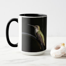 Hummingvögel auf schwarz