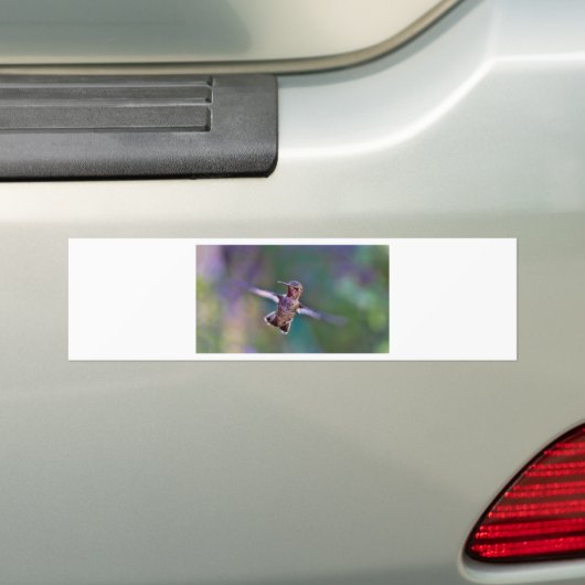 Hummingvogel Autoaufkleber (Auf Auto)