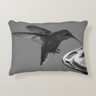 Hummingvogel bei Feeder Black und White 2 oder 3 Dekokissen