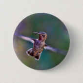 Hummingvogel Button (Vorderseite)