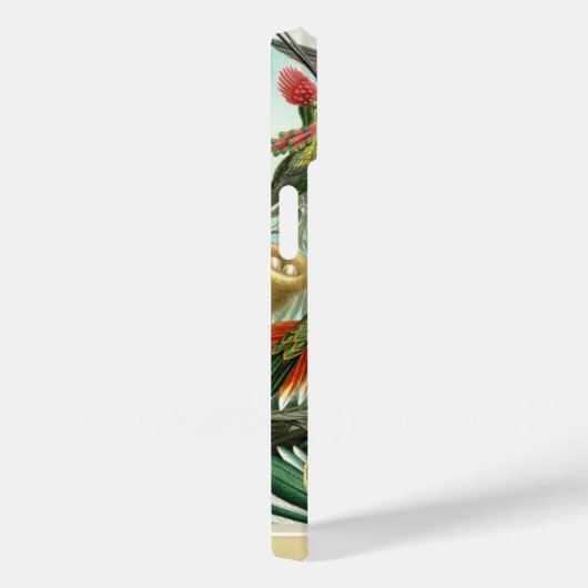 Hummingvögel Case-Mate iPhone Hülle (Rückseite / Rechts)