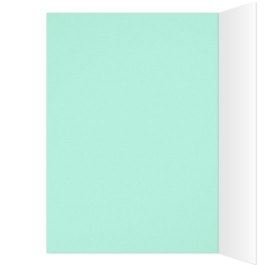 Hummingvögel des tropischen Amerikas (Innen (Links))