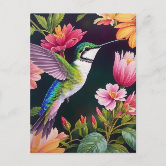 Hummingvogel farbenfrohe Blumenbilder Postkarte (Vorderseite)