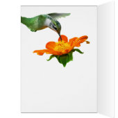 Hummingvogel: Fliegen (Innen (Links))