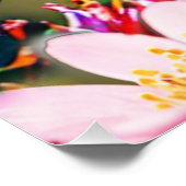 Hummingvogel fliegt zu einer Blume Glossy Poster (Ecke)