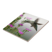 Hummingvogel Fliese (Seite)