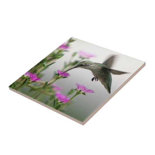 Hummingvogel Fliese (Seite)