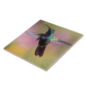 Hummingvogel Fliese (Seite)