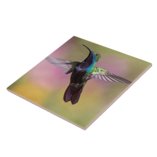 Hummingvogel Fliese (Seite)