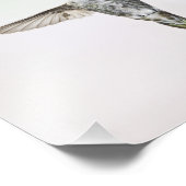 Hummingvogel Fotodruck (Ecke)