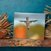 Hummingvogel Fotoplatte (Seite)