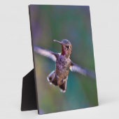 Hummingvogel Fotoplatte (Seite)