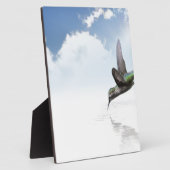 Hummingvogel Fotoplatte (Seite)