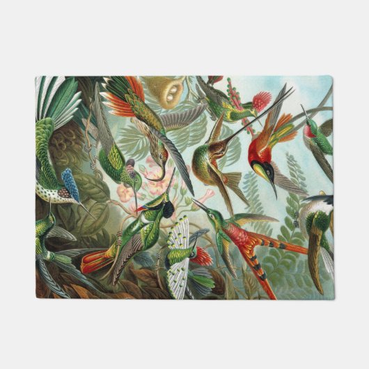 Hummingvögel Fußmatte (Vorderseite)