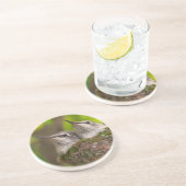 Hummingvögel Getränkeuntersetzer (Seite)