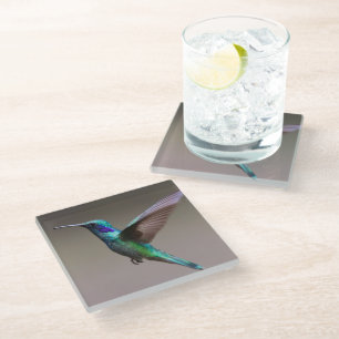 Hummingvogel im Flug Glasuntersetzer