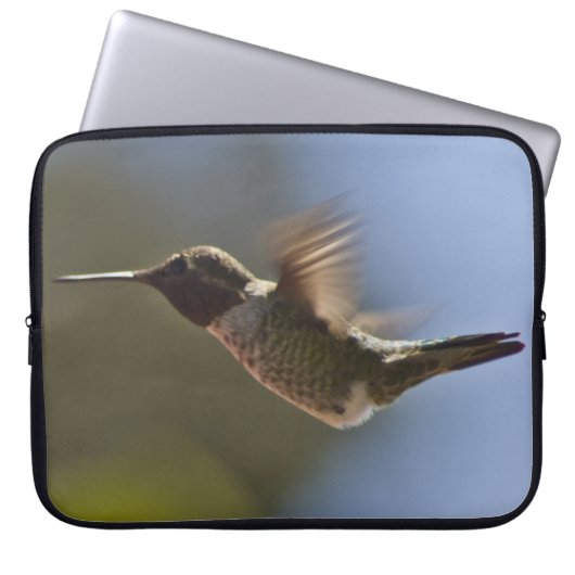 Hummingvogel im Flug Laptopschutzhülle (Vorderseite)
