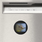 Hummingvogel im Flug Magnet (In Situ (Geschirrspüler))