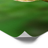 Hummingvogel im Flug Poster (Ecke)