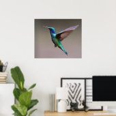 Hummingvogel im Flug Poster (Heimbüro)