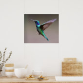 Hummingvogel im Flug Poster (Küche)