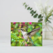 Hummingvogel im Flug Postkarte (Stehend Vorderseite)
