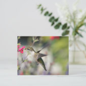 Hummingvogel im Flug Postkarte (Stehend Vorderseite)