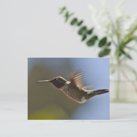 Hummingvogel im Flug Postkarte (Stehend Vorderseite)