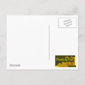 Hummingvogel im Flug Postkarte (Rückseite)