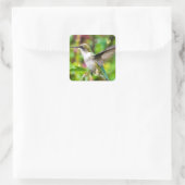 Hummingvogel im Flug Quadratischer Aufkleber (Tasche)