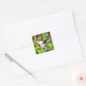 Hummingvogel im Flug Quadratischer Aufkleber (Umschlag)