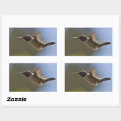 Hummingvogel im Flug Rechteckiger Aufkleber (Blatt)