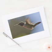Hummingvogel im Flug Rechteckiger Aufkleber (Umschlag)