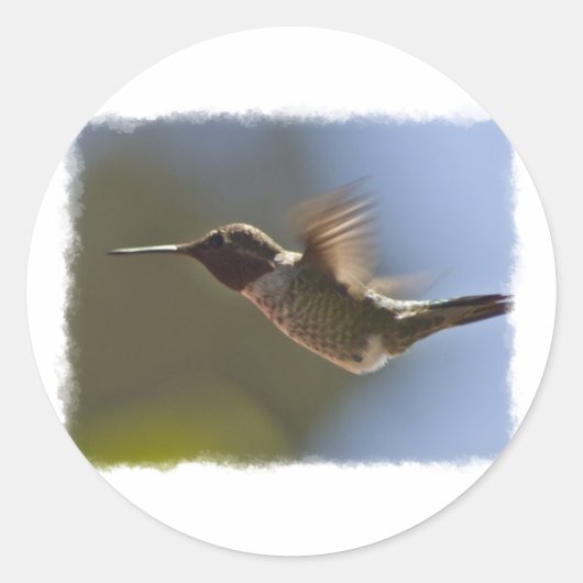 Hummingvogel im Flug Runder Aufkleber (Vorderseite)