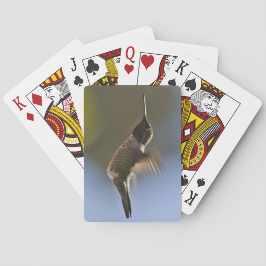 Hummingvogel im Flug Spielkarten (Rückseite)