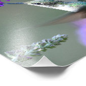 Hummingvogel im Schmetterlingsstrauch Fotodruck (Ecke)