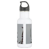 Hummingvogel in der Erholung Trinkflasche (Rückseite)