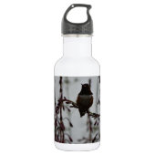 Hummingvogel in der Erholung Trinkflasche (Vorderseite)