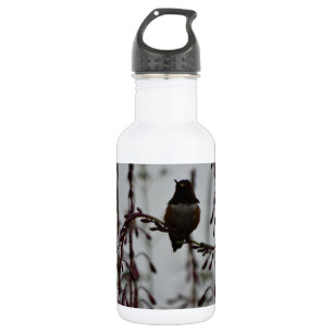 Hummingvogel in der Erholung Trinkflasche