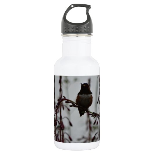 Hummingvogel in der Erholung Trinkflasche (Vorderseite)