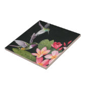 Hummingvögel in der Plumeria Fliese (Seite)