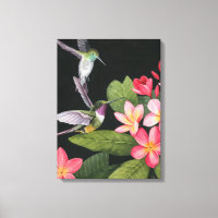 Hummingvögel in der Plumeria