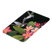 Hummingvögel in der Plumeria Magnet (Linke Seite)