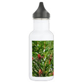 Hummingvogel in wild lebenden Blume Trinkflasche (Links)