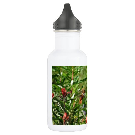 Hummingvogel in wild lebenden Blume Trinkflasche (Links)