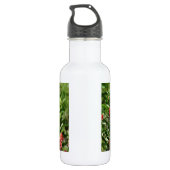 Hummingvogel in wild lebenden Blume Trinkflasche (Rückseite)