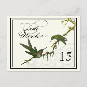 Hummingvögel in Wirbel - Tabelle Platzkarte Nummer Postkarte