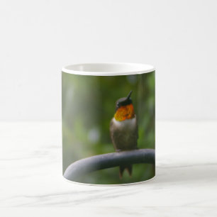 Hummingvogel Kaffeetasse